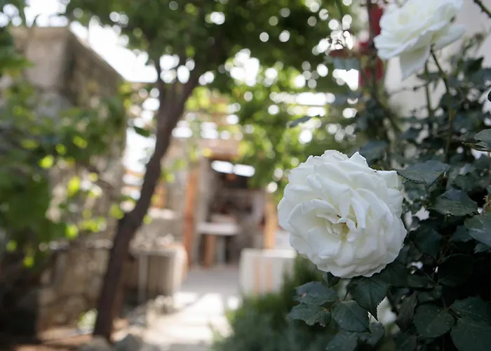 Boriadon Rustic Countryside Homes Vivlos